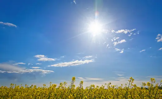 sunny day